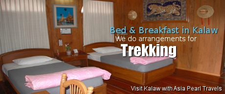 Bed and Breakfast in Kalaw. We do arrangements for Trekking.
