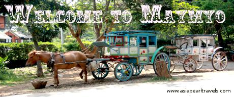 Horse Cart in Pyin Oo Lwin
