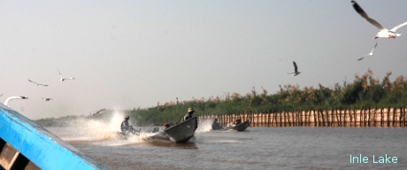 Birds and the Boats in Inle Lake.