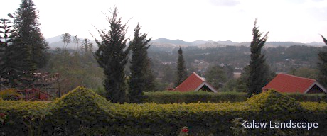 Kalaw Landscape